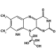 Cricket Powder Riboflavin