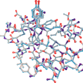 Protein Molecule